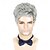 abordables Perruques historiques-Perruque homme courte gris argenté, perruque homme cheveux synthétiques naturels superposés pour homme homme homme quotidien Halloween