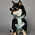 baratos capa de chuva-Capa de Chuva para Cães Impermeável Poncho com Capuz Casaco de Chuva para Pets com Abertura para Guia para Cães Pequenos Médios e Grandes