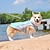 preiswerte Kühlweste &amp; Shirt-Kühlweste für Hunde, Hundegeschirr, Kühljacke mit tragbarer Wasserflasche für Spaziergänge mit dem Hund, Outdoor-Camping und Jagdtraining