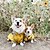 baratos capa de chuva-Capa de chuva impermeável para cachorro, poncho com capuz, capa de chuva para animais de estimação com furo para guia para cães pequenos, médios e grandes