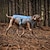 preiswerte Kühlweste &amp; Shirt-Kühlweste für Hunde, Hundegeschirr, Kühljacke mit tragbarer Wasserflasche für Spaziergänge mit dem Hund, Outdoor-Camping und Jagdtraining