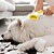 economico BAGNO E CURA PERSONALE-Spazzola da bagno per animali domestici, spazzola da bagno per cani, spazzola per cani per il bagno, spazzola massaggiante per la toelettatura dei cani a pelo lungo e corto, doccia per cani e gatti
