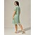 abordables Vestidos de fiesta-Mujer Vestido hasta la Rodilla Vestido de raso Elegante Casual Holgado Floral Manga Corta Cuello Barco Verde salvia Verano