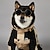 abordables imperméable-Manteau de pluie pour chien imperméable poncho de pluie avec capuche veste de pluie pour animaux avec trou pour la laisse pour petits moyens et grands chiens