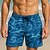 ieftine Pantaloni scurți de elită pentru bărbați-Bărbați Pantaloni Scurți Pantaloni scurți de plajă Cordon Ocean Abstract Artă abstractă Respirabil Uscare rapidă Lungimea genunchiului În aer liber Vacanță Casă Vacanță Stilul etnic Albastru Lac