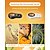 abordables accessoires de forage-Microscope numérique portable avec écran couleur IPS de 2 pouces, loupe numérique portable 500x, microscope Marco pour enfants, 8 LED intégrées, compatible USB avec PC Windows et Mac OS