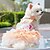 voordelige Hondkleding &amp; Accessoires-Regenboogvlinder hondenjurken voor kleine hondenmeisjes, puppy kant tutu prinsessenjurk kattenoutfit huisdier vlinderkostuum voor kitten chihuahua yorkie keeshond