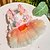 voordelige Hondkleding &amp; Accessoires-Regenboogvlinder hondenjurken voor kleine hondenmeisjes, puppy kant tutu prinsessenjurk kattenoutfit huisdier vlinderkostuum voor kitten chihuahua yorkie keeshond