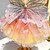 voordelige Hondkleding &amp; Accessoires-Regenboogvlinder hondenjurken voor kleine hondenmeisjes, puppy kant tutu prinsessenjurk kattenoutfit huisdier vlinderkostuum voor kitten chihuahua yorkie keeshond