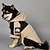 abordables imperméable-Manteau de pluie pour chien imperméable poncho de pluie avec capuche veste de pluie pour animaux avec trou pour la laisse pour petits moyens et grands chiens