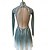 abordables Vestidos de Patinaje Artístico-Vestido de patinaje artístico Mujer Chica Patinaje Sobre Hielo Vestidos Verde Gris Espalda Abierta Teñido Halo Malla Alta elasticidad Entrenamiento Competición Ropa de Patinaje Clásico Cristal