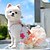 voordelige Hondkleding &amp; Accessoires-Regenboogvlinder hondenjurken voor kleine hondenmeisjes, puppy kant tutu prinsessenjurk kattenoutfit huisdier vlinderkostuum voor kitten chihuahua yorkie keeshond