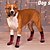 preiswerte Stiefel &amp; Pfotenschutz-Anti-Rutsch-Hundesocken, um das Lecken der Pfoten zu verhindern. Hundeschuhe für heiße Straßen. Hundestiefel für kleine, mittelgroße und große ältere Hunde. Traktionskontrollstiefel. &amp;Pfotenschutz für