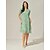abordables Vestidos de fiesta-Mujer Vestido hasta la Rodilla Vestido de raso Elegante Casual Holgado Floral Manga Corta Cuello Barco Verde salvia Verano