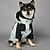 baratos capa de chuva-Capa de Chuva para Cães Impermeável Poncho com Capuz Casaco de Chuva para Pets com Abertura para Guia para Cães Pequenos Médios e Grandes