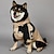 abordables imperméable-Manteau de pluie pour chien imperméable poncho de pluie avec capuche veste de pluie pour animaux avec trou pour la laisse pour petits moyens et grands chiens