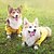 baratos capa de chuva-Capa de chuva impermeável para cachorro, poncho com capuz, capa de chuva para animais de estimação com furo para guia para cães pequenos, médios e grandes