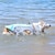preiswerte Kühlweste &amp; Shirt-Kühlweste für Hunde, Hundegeschirr, Kühljacke mit tragbarer Wasserflasche für Spaziergänge mit dem Hund, Outdoor-Camping und Jagdtraining