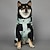 baratos capa de chuva-Capa de Chuva para Cães Impermeável Poncho com Capuz Casaco de Chuva para Pets com Abertura para Guia para Cães Pequenos Médios e Grandes