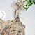 abordables corsé-Retro Antiguo Medieval Renacimiento Faja Chaleco corpiño Floral Jacquard Disfraz Mujer Celta Fantasía Víspera de Todos los Santos Carnaval Fiesta Casual Diario LARP Adulto Faja