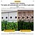economico Applique per esterni-1 lampada da parete solare impermeabile per esterni con 5 fasci LED, illuminazione per cortile, giardino, recinzione, balcone, scala