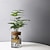 ieftine Vase &amp; Coșuri-Plantă hidroponică în vază de sticlă, ornament mic pentru birou, plantă verde în ghiveci, mini sticlă de bonsai, decor de casă în micro-peisaj
