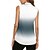 abordables Chemise pour femmes-Femmes Dégradé T-shirt de sport T-shirt POLO Chemise de tennis Sans manches Fermeture éclair Haute élasticité Évacuation de l'Humidité Respirant Tennis Le golf Course Col Rabattu Col zippé Chemise Top