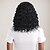 abordables Perruques de fête-Perruque Synthétique Ondulé Afro Bouclé Coupe Asymétrique Avec frange Fabriqué à la Machine Perruque 14 pouces A1 Cheveux synthétiques Femmes Classique Confortable Dégradé de couleur Noir