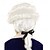 billige Historiske parykker-Deluxe kolonial parykk gutter Halloween-parykker
