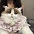 cheap Stuffed Animals-Stuffed Animals Backpack - Cute Cat plush Backpack Handcrafted Realistic Cat Shaped Backpack Idea for Birthdays Anniversaries Ordinary days Large Ragdoll Bag