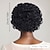 abordables Pelucas sintéticas de moda-Pelucas sintéticas Rizado Jheri Afro rizado Corte a capas Corte asimétrico Hecho a Máquina Peluca 10 pulgadas A1 Pelo sintético Mujer Fresco Clásico Adorable Múltiples colores