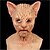 economico Indossabili e travestimenti-Maschera da gatto sfinge di Halloween per adulti, realistici costumi spaventosi, maschera in lattice per il viso, maschera horror da gatto senza pelo, inquietante accessorio per feste feline