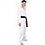 levne Motýlkové spony-čelenka karate pan myagi daniel kobra čelenka halloweenský kostým cosplay