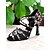 cheap Latin Shoes-Women's Leopard Print Mesh Latin Dance Heels - Professional Ballroom Performance Shoes with Strappy Design for Salsa and Tango