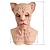 economico Indossabili e travestimenti-Maschera da gatto sfinge di Halloween per adulti, realistici costumi spaventosi, maschera in lattice per il viso, maschera horror da gatto senza pelo, inquietante accessorio per feste feline