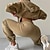 ieftine salopete sport-Pentru femei Trening Costum de baie Set de îmbrăcăminte activă Buzunar Mată Costume Toamnă Iarnă Galben Pământiu Vișiniu Sală de fitness A face exerciţii fizice Sporturi Termic cald Rezistent la Vânt