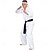 levne Motýlkové spony-čelenka karate pan myagi daniel kobra čelenka halloweenský kostým cosplay