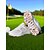 billige Kvinnegolf sko-Dame Treningssko utendørs Daglig Reise Kontrastfarge Flat hæl Rund Tå Sportslig Fritid Komfort Løp Gange Mikrobielt skinn Mikrofiber Snøring Hvit Rosa Grå