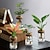 ieftine Vase &amp; Coșuri-Plantă hidroponică în vază de sticlă, ornament mic pentru birou, plantă verde în ghiveci, mini sticlă de bonsai, decor de casă în micro-peisaj