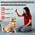 baratos Adestramento &amp; Treino de Comportamento para Cães-Coleira de treinamento com spray remoto para cães, com bipe e vibração, 6 níveis de sensibilidade ajustável, à prova d&#039;água, IPX7, spray mais seguro, treinamento para cães, anti-latido, e-coleira (não