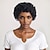 abordables Pelucas sintéticas de moda-Pelucas sintéticas Rizado Jheri Afro rizado Corte a capas Corte asimétrico Hecho a Máquina Peluca 10 pulgadas A1 Pelo sintético Mujer Fresco Clásico Adorable Múltiples colores