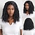 abordables Perruques de fête-Perruque Synthétique Ondulé Afro Bouclé Coupe Asymétrique Avec frange Fabriqué à la Machine Perruque 14 pouces A1 Cheveux synthétiques Femmes Classique Confortable Dégradé de couleur Noir