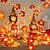 abordables Lumières d&#039;Halloween-Guirlande lumineuse solaire d&#039;Halloween en forme de citrouille et de feuille d&#039;érable, 6,5 m, 30 LED, étanche, pour jardin, Thanksgiving, Halloween, fête, maison, balcon, terrasse, cour, porche,