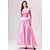 abordables Disfraces de mujer-Cuento de hadas La princesa encantada Princesas Cenicienta Vestidos Traje de cosplay Vestido de fiesta de graduación Personajes de cuentos de hadas Cosplay for Mujer Adulto Víspera de Todos los