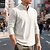 abordables Polo clásico para hombre-Hombre Camisetas polo con diseño de gofre Camisetas polo Ropa Cotidiana Cita Cremallera de un cuarto Manga Larga Moda Básico Plano Cremallera Primavera Otoño Ajuste regular Negro Blanco Vino Caqui