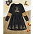halpa 3D Shining Vision -mekko-Tyttöjen 3D Lumihiutale Mekko Pitkähihainen Kesä Kevät Loma Päivittäin Pyhäpäivä Prinsessa Kaunis Makea Lapset 4-12 vuotta Rento mekko A linjainen mekko Polvipituinen Normaali