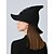 levne Halloweenské doplňky-Dámský čarodějnický klobouk ze směsi vlny se vzorem lebky – gotický halloweenský špičatý klobouk na kostýmní večírky a cosplay