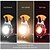 baratos Equipamento de Camping-Mini lanterna de chaveiro LED, lanterna de chaveiro LED recarregável Jeswo COB, multifuncional, lanternas de acampamento portáteis de 550 lúmens, 3 modos de luz, para iluminação externa, backup