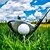 ieftine arte, meșteșuguri și cusut-Teuri de golf din plastic alb, pachet de 50, cu design de furcă ranforsat durabil de 3,8 cm pentru o inserție stabilă pe suprafețe dure și gazon, potrivite pentru fieruri de golf, hibride și lemn de