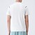 ieftine Topuri-Bărbați Cămașă de performanță Tricou sport Manșon scurt Stil Nautic Topuri În aer liber Uscare rapidă Κατά του ιδρώτα anti-miros Respirabil Poliester Negru Alb Albastru Pescuit Tenis Alergat